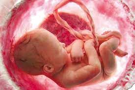 غربالگری جنین از نظر ناهنجاری های ژنتیکی